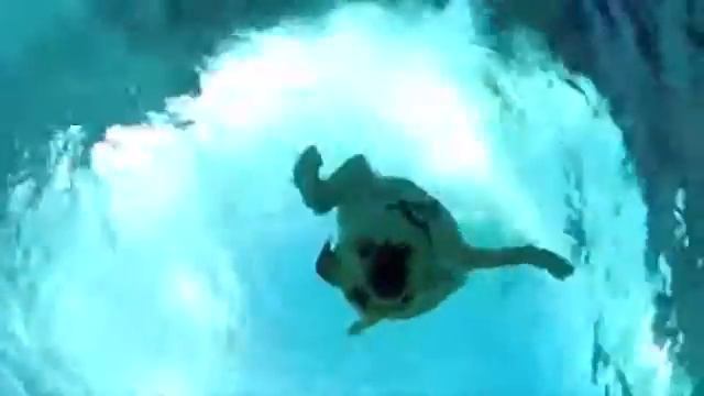 Нырок за камерой смотреть онлайн