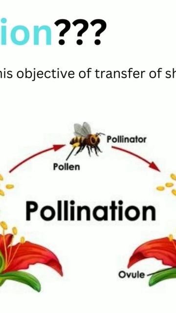 Do you know about pollination??