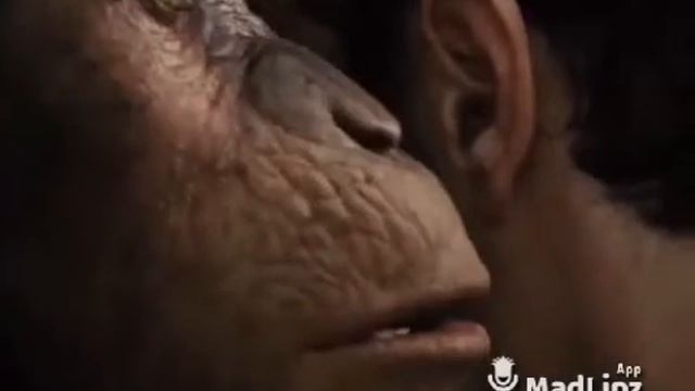 "Руза Мегири" 6 мая 2019 г. смотреть онлайн