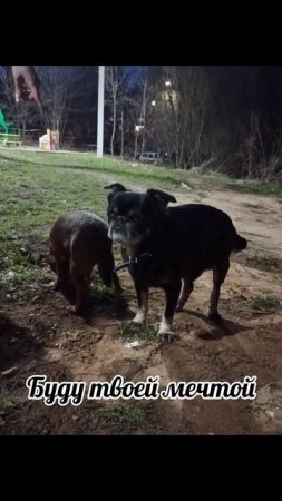 Охраняет подружку ❤