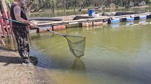 21.04.25 г. ВИП. Парк отдыха водопад