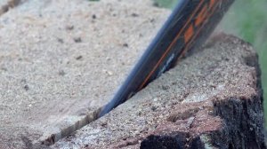 Делаем солонцы для косули | Биотехнические мероприятия