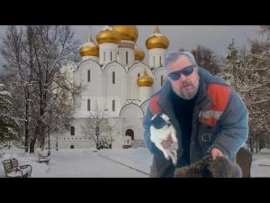 Доброе утро 17 января. Милостыня у церкви для собак
