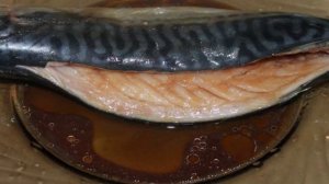 Скумбрия фаршированная овощами и сыром