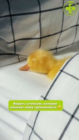 Поделись с близким