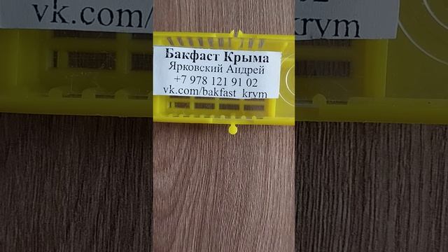 Информация для людей, которые планируют у нас делать заказ на маток. смотреть онлайн