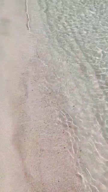 The pink sand and crystalline waters of Elafonissi beach #shorts #elafonisi #beach смотреть онлайн