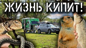 АСТРАХАНЬ автономка с АВТОДОМОМ и двумя детьми! С КАРАВАНОМ из зимы в лето!