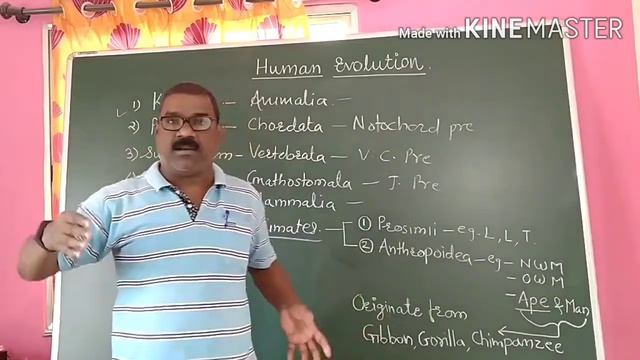 12. Origin and Evolution of Life смотреть онлайн