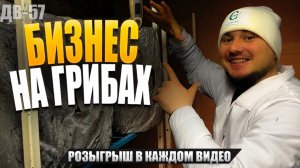 БИЗНЕС НА ГРИБАХ | ЗА ИЛИ ПРОТИВ | ДВ 57