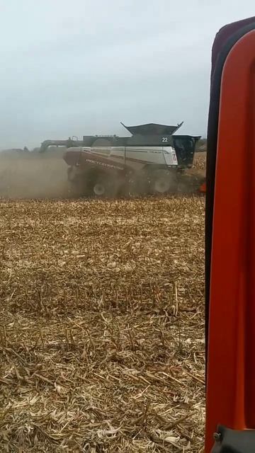 Торум 785 уборка кукурузы смотреть онлайн