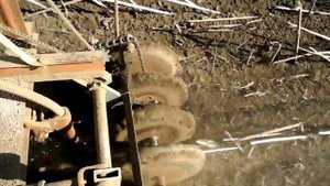 Прямой сев  сеялкой СЗН-2.1... октябрь 2019 ..