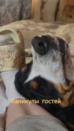 Из жизни отдыхающих 😀