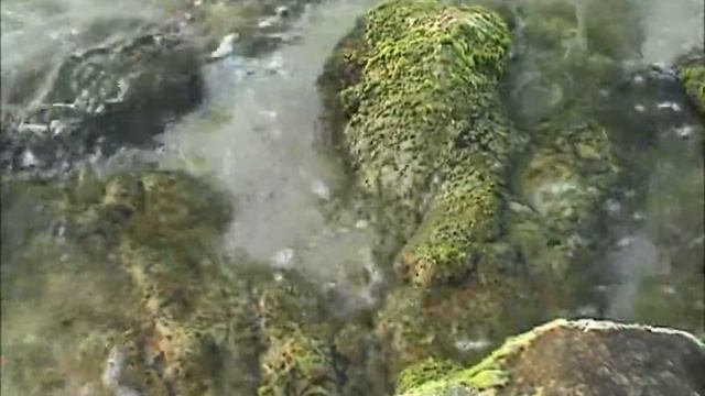 Черно Море 2011 (Black sea 2011) смотреть онлайн