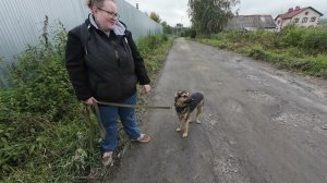 Новости утра 18 августа
