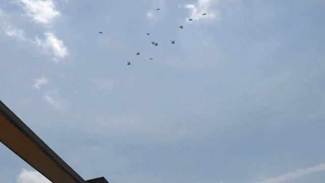 6 июля . Коршун пискуны и жара , жара , жара . смотреть онлайн