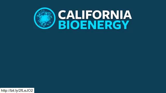 California Bioenergy Skincare Cream Scam - california bio energy anti wrinkle cream