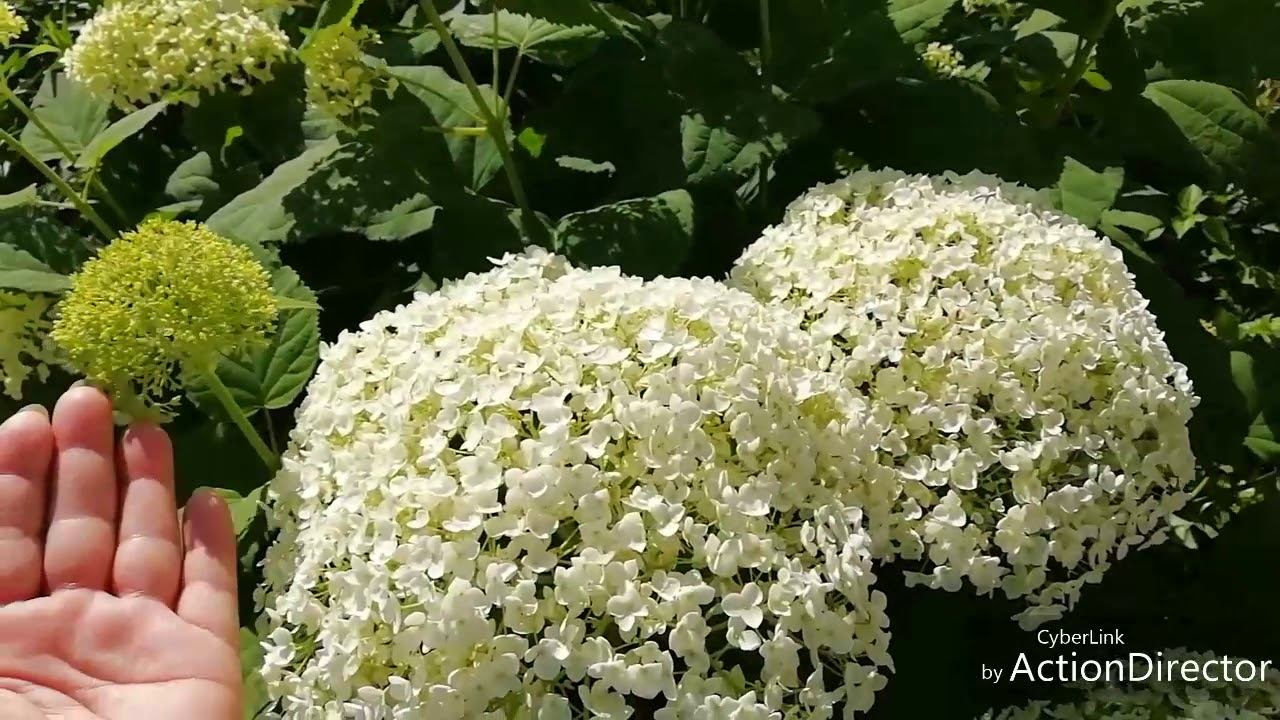 Утро 09.07.2019 смотреть онлайн