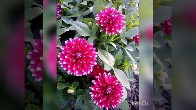 красота природы. beauty of nature (часть 1) смотреть онлайн