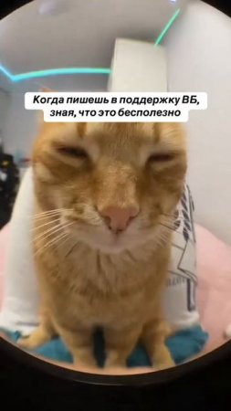 Пишу, зная, что читаю это я и моя надежда.
А ты когда последний раз писал им?