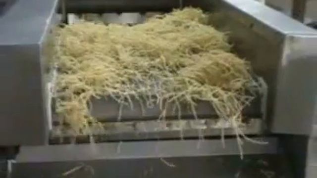 Economode Namkeen Continuous Fryer