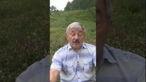 как укрепить иммунитет