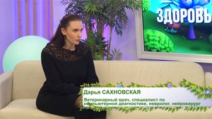 Здоровый питомец, 21.04.2025