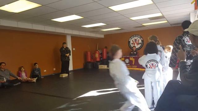David's taekwondo yellow belt test (02-20-2016)