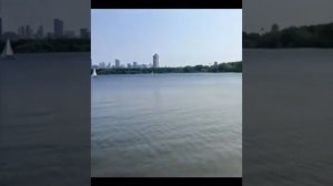 Умиротворённая обстановка на пляже в Строгинской пойме 🏖