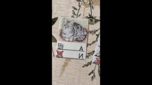 Игра "Прятки"