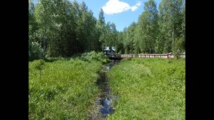 Степь Широкая и Исток Волги (песня)