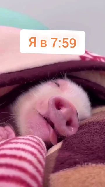 21 сентября 2023 г. смотреть онлайн