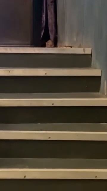 Крыса во время выступления Дины Рубиной смотреть онлайн