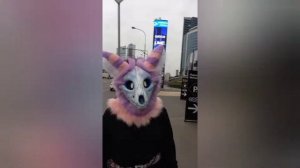 Skulldog in Moscow-City! Фурри прогулка по центру Москвы