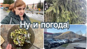 Погода переменчивая. Что купила на ВБ. Вкусный салат.