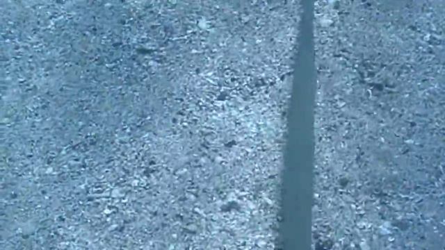 egipet.avi смотреть онлайн