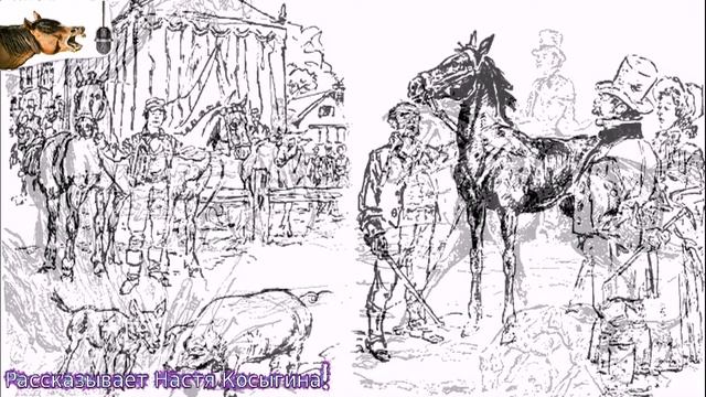 История "Черного красавчика"! (часть 11) смотреть онлайн