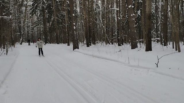 Лыжный курорт во Владимире Парк Дружбы январь 2024 смотреть онлайн