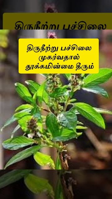 தினம் ஒரு மருத்துவக் குறிப்புகள் || வீட்டு மருத்துவ குறிப்புகள் ||Daily Health Tips #healthtips (5) смотреть онлайн