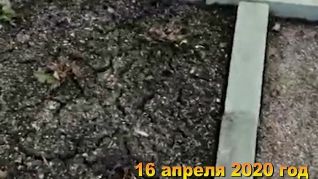 Хроника на даче. все готовиться к весне. 16 апреля 2020 год