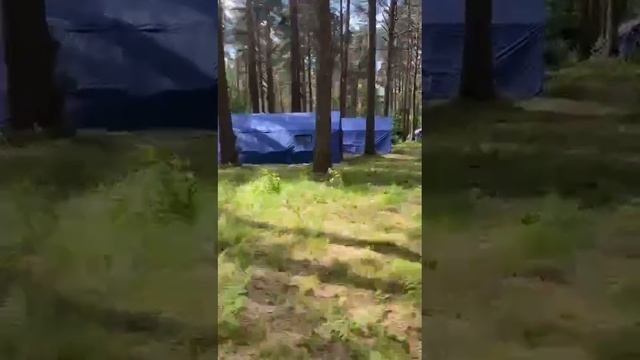 Дружба
