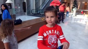 Мисс Кэйти и Мистер Макс (Miss Katy) Кэти и Макс улетели в Сингапур