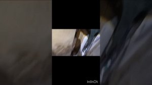 Снятие обшивки двери на Хонда Элизион...