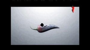 Эволюция всех рекламных заставок телеканала "Перец" (с 15 мая по 12 ноября 2015 года)