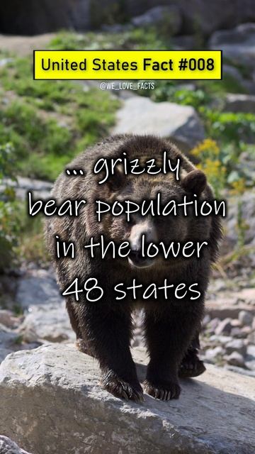 Which state has the largest grizzly bear population in lower 48 ... We Love Facts USA 08 #shorts смотреть онлайн