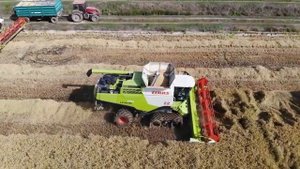 Комбайн CLAAS LEXION 770 с наработкой / Обзор ТМІ(Перезалив)