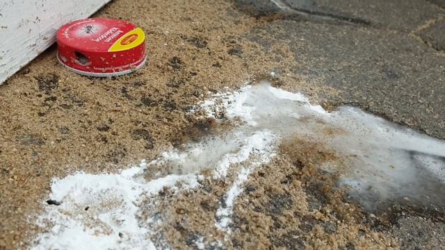 INSANE CHEMICAL REACTION - Everyday Timon #2 смотреть онлайн