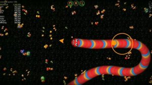 Червячная зона армянская гигант рекорд 1500000