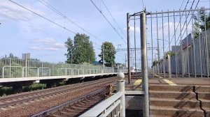 30 июня 2024 г. Высокоскоростной Электропоезд Сапсан ЭВС1-11 Поповка