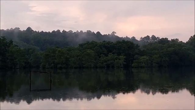 Watersnake adventure #18:  moccasin pier and Wall Doxey hike смотреть онлайн